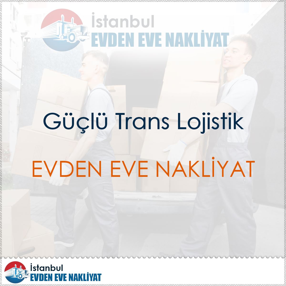 Güçlü Trans Lojistik : Kapak Görseli