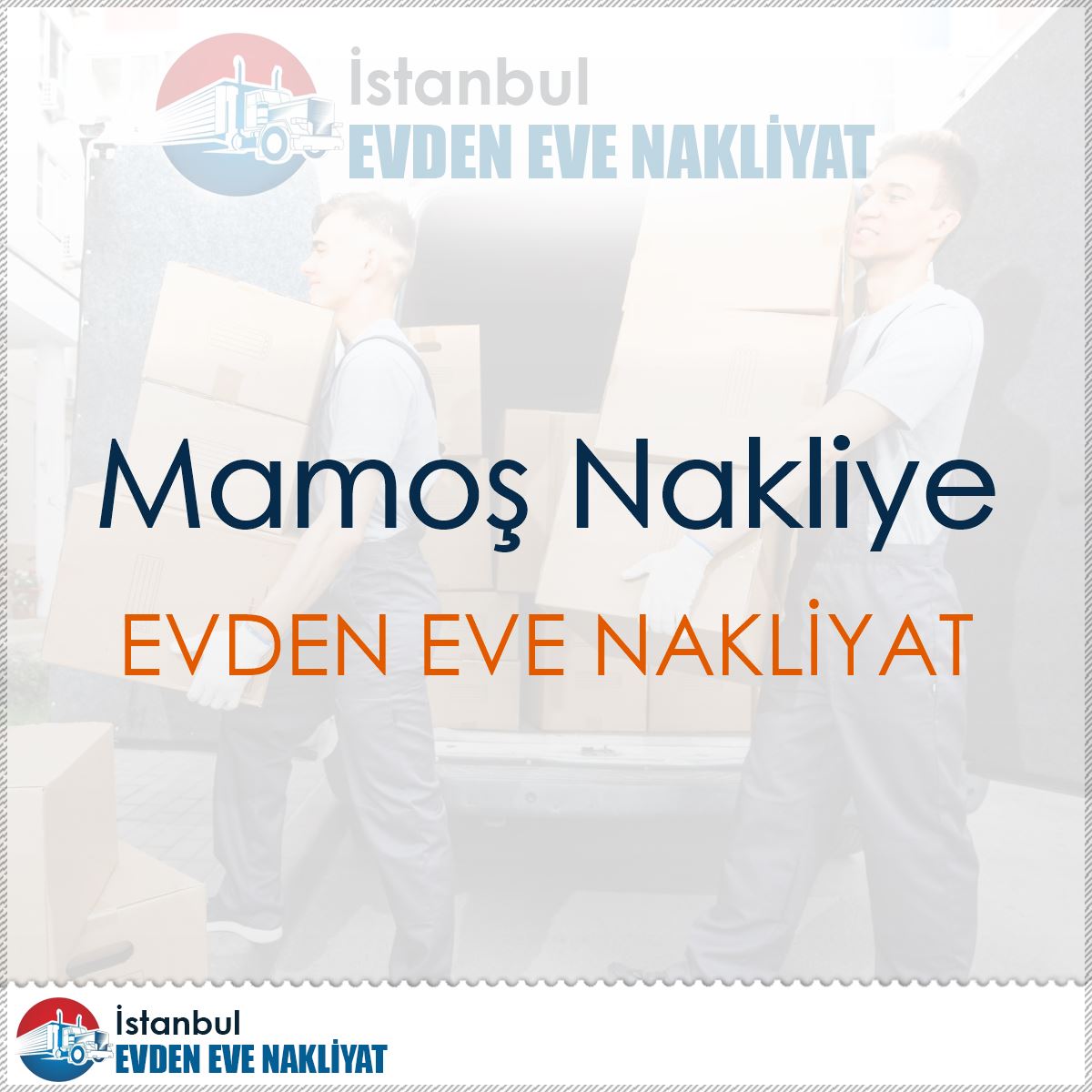 Mamoş Nakliye : Kapak Görseli