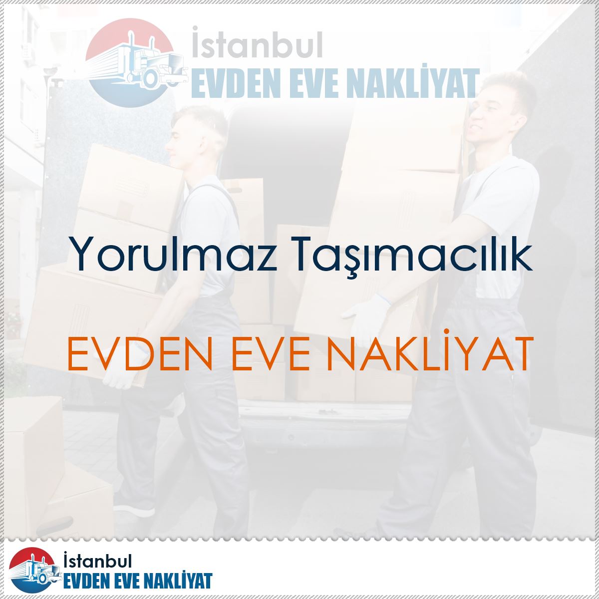 Yorulmaz Taşımacılık : Kapak Görseli